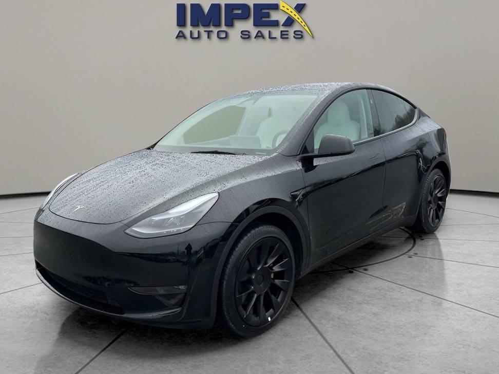 TESLA MODEL Y 2024 7SAYGDEE3RF985826 image